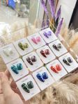 Set sơn nứt Vendeen 12 màu
